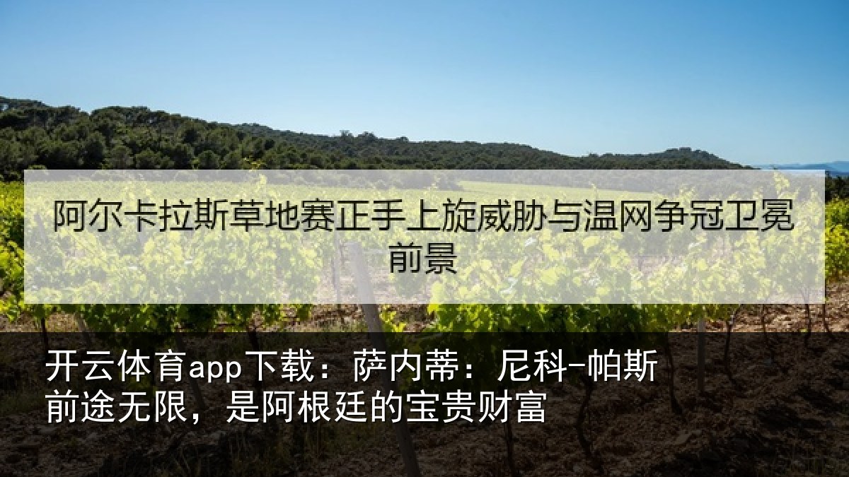 开云体育app下载：萨内蒂：尼科-帕斯前途无限，是阿根廷的宝贵财富